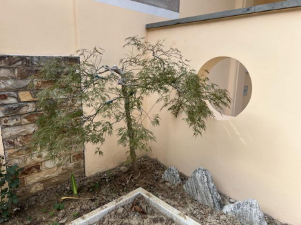 苏州别墅土建改造工程